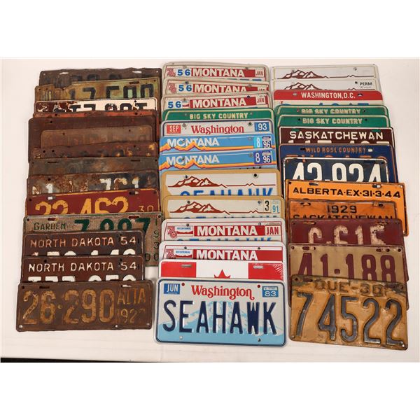 License Plates, 60  [168418]