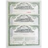 Image 1 : Altantica del Golfo Sugar Co., 1980-83, Issued Stock Certificate Trio