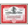 Image 1 : Blackhawk Remedy Co. 1900-1920 Specimen Stock Certificate.