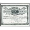 Image 1 : Mammoth Consolidated Mining Milling and Smelting Co. 1881 I/U Stock certificate