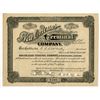 Image 1 : New Orleans Terminal Co., 1938, I/C Stock Certificate