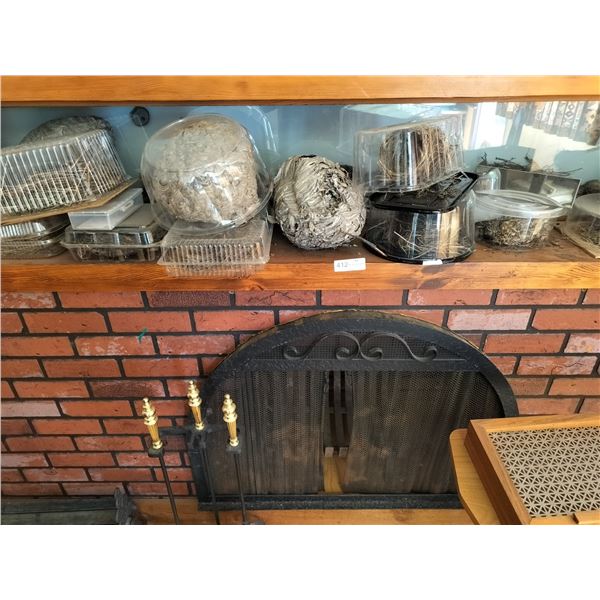 Large Assortment of Collectable Bird & Wasp Nests