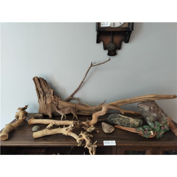 Assorted Nature Decor