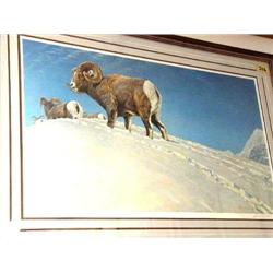 Robert Bateman 1981 Signed and Numbered 298/950 Rocky Mountain Ram