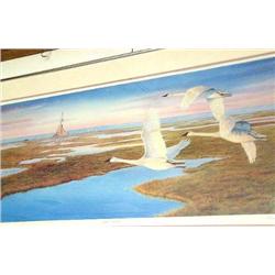 Charles Gauze 2296/2299 "Arctic Journey"