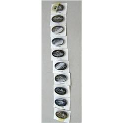 Lot of 10 Scrimshawed Baleen Pins