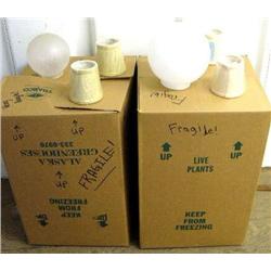 2 Boxes of Glass Lamp Shades