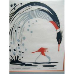 Watercolor Print by AW Higgins, 12/15 "Red Breasted Meganzers