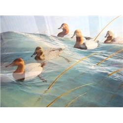 "Singing Winds" Ducks Unlimited 1969 by Van Gilder, Flyaway Collection