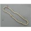Image 1 : 16" Ivory Bead Necklace