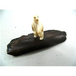 CHOICE on 11 fossilized ivory bears on fossilized Ivory