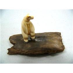 CHOICE on 11 fossilized ivory bears on fossilized Ivory