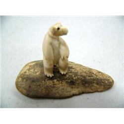 CHOICE on 11 fossilized ivory bears on fossilized Ivory