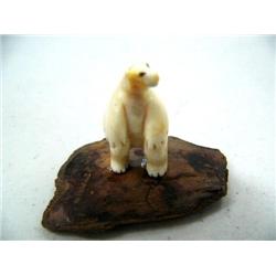 CHOICE on 11 fossilized ivory bears on fossilized Ivory