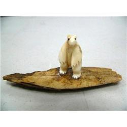 CHOICE on 11 fossilized ivory bears on fossilized Ivory