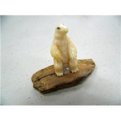 CHOICE on 11 fossilized ivory bears on fossilized Ivory