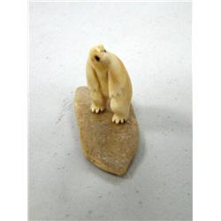 CHOICE on 11 fossilized ivory bears on fossilized Ivory