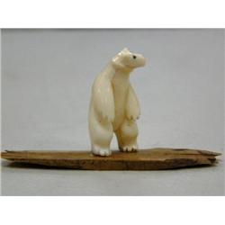 CHOICE on 11 fossilized ivory bears on fossilized Ivory