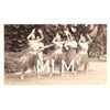 Image 1 : Real Photo Hula Dancers Hawaii Postcard