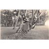 Image 1 : Baker Real Photo A Maid of Honolulu Hula Girl Postcard