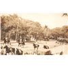 Image 1 : 1913 Parade Honolulu Photo Postcard