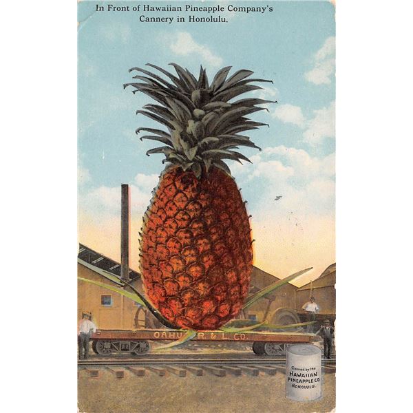 In Front of Hawaiian Pineapple Co. Cannery In Honolulu Postcard