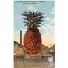 Image 1 : In Front of Hawaiian Pineapple Co. Cannery In Honolulu Postcard