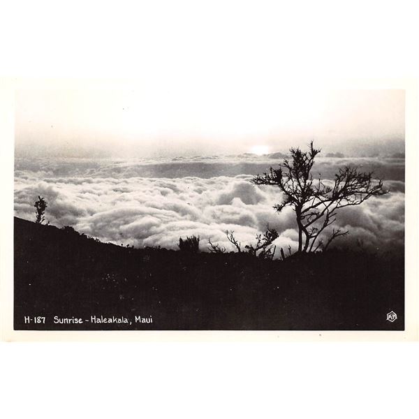 Real Photo Sunrise - Kaleakala, Maui Hawaii Postcard