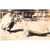 Image 1 : Real Photo Man Feeding Turtle Hawaii Postcard