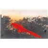 Image 1 : Tinted Real Photo Lava Hawaii Volcano Postcard