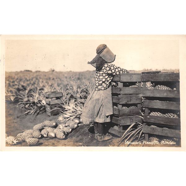 Real Photo Pineapple Worker Honolulu Postcard