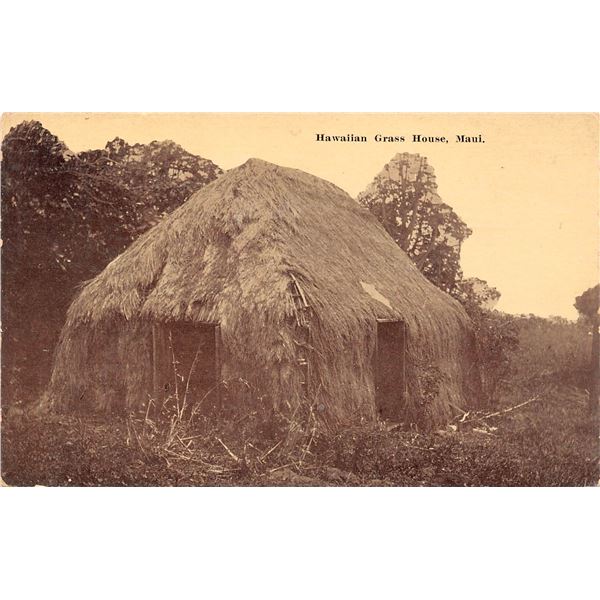 Hawaiian Grass House, Maui Two Tone Early Postcard