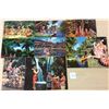 Image 1 : Group of 10 Vintage Hawaiian Lei Related Postcards