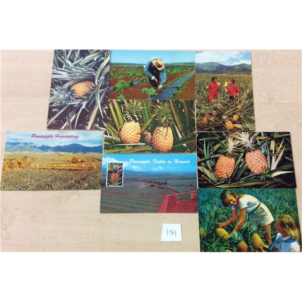 8 Vintage Hawaiian Pineapple Related Postcards