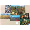 Image 1 : 8 Vintage Hawaiian Pineapple Related Postcards