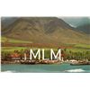 Image 1 : Picturesque Boat Harbor at Lahaina, Maui Postcard