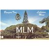 Image 1 : Banyan Tree, Lahaina, Maui Postcard