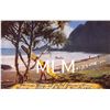 Image 1 : Surfer & Board at Hana Bay at Hana-Maui Postcard