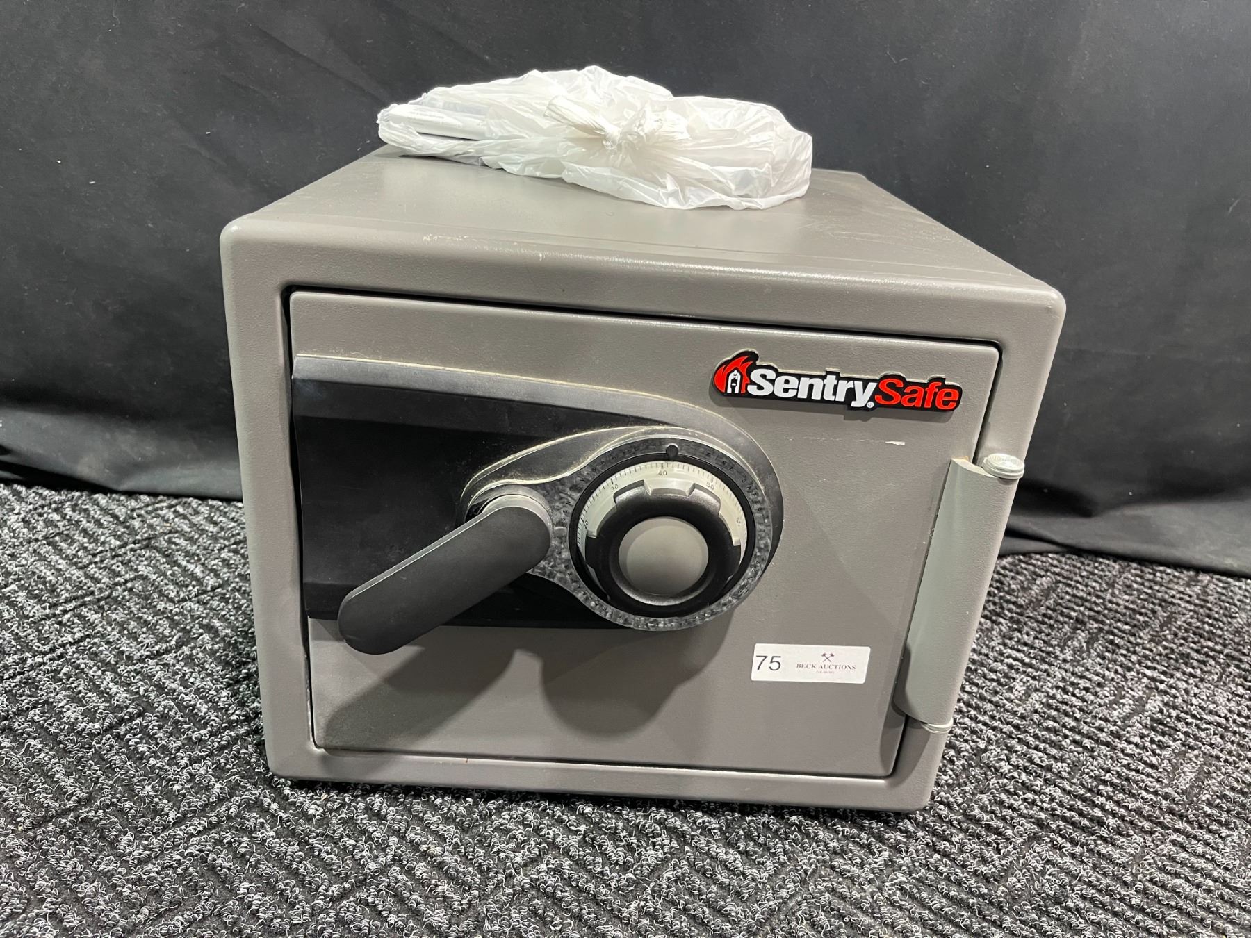 Sentry R3910 Safe Sentry Safe Fire Resistant Document Safe