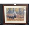 Image 1 : Framed Moose Photographed Print