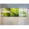 Image 1 : Nature Themed Canvas Prints