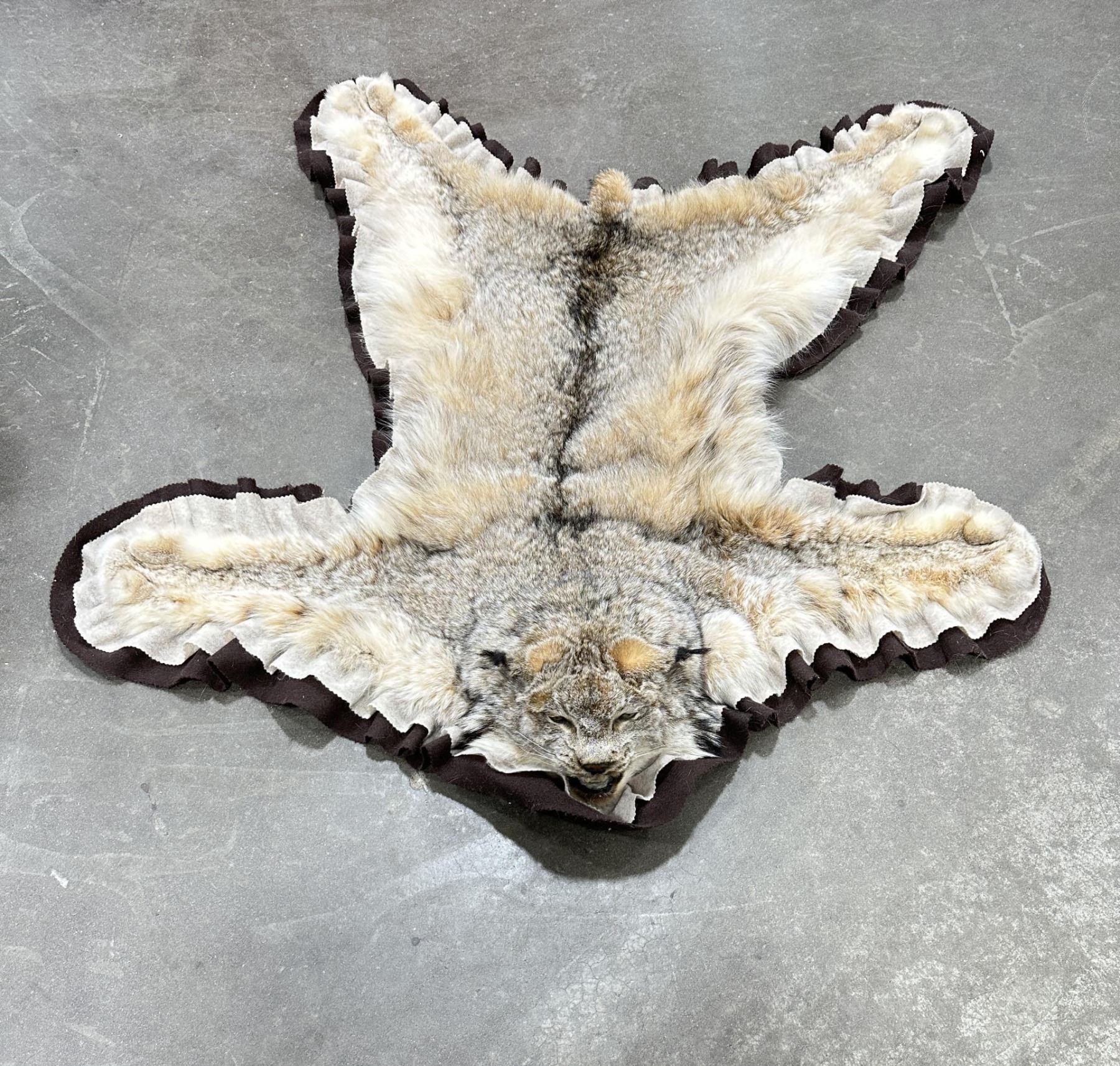 Alaskan Lynx Taxidermy Rug