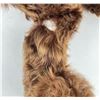 Image 8 : Custom Made Willow Teddy Bear