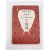 Image 1 : Peter Pan