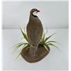 Image 3 : Taxidermy Chukar Quail Partridge