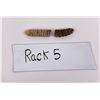 Image 6 : Montana Diamondback Rattlesnake Snake Rattles