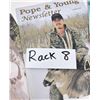 Image 8 : Pope & Young Newsletter Magazine