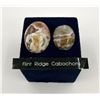 Image 1 : Flint Ridge Cabochons