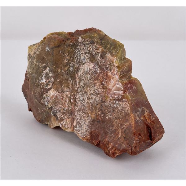 Arizona Rainbow Petrified Wood