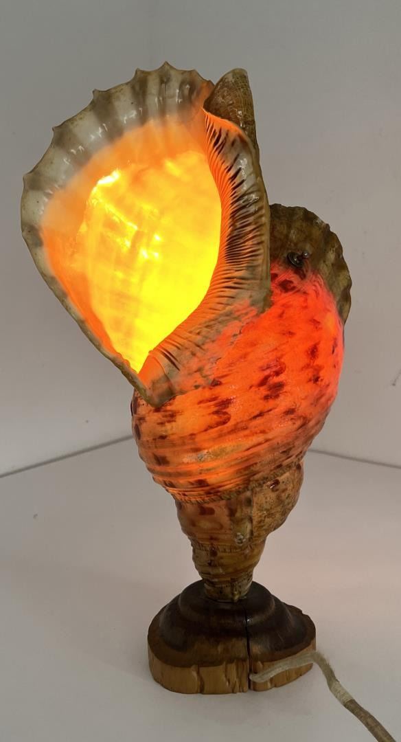 Antique Conch Sea Shell Lamp